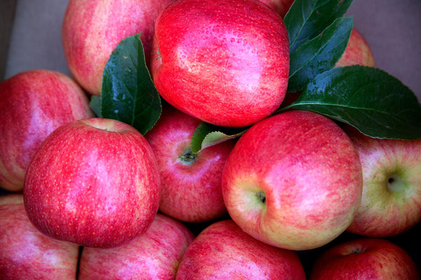 Apples